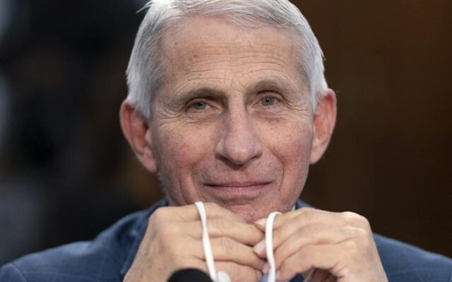 GOP Launches Probe Into COVID Origins With Letter To Dr. Fauci