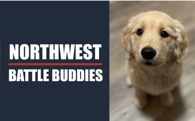 Vote for your favorite name of the newest NW Battle Buddies puppy!
